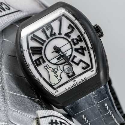 Alligator Leather Strap for Franck Muller Vanguard